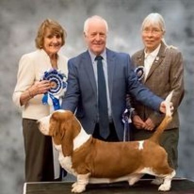 Best in Show BHC 2019