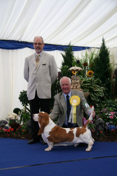 Marley winning CC & BOB at Blackpool 2013 then going on to Hound Group 3 under  John Walton Haddon.