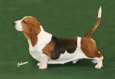 Photo by Carol Ann Johnson