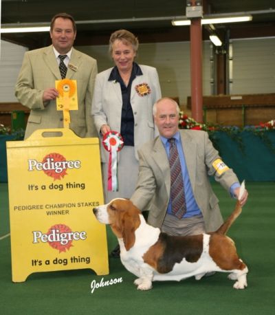 Champion Stakes winner WKC 2006 - Photo by Johnson