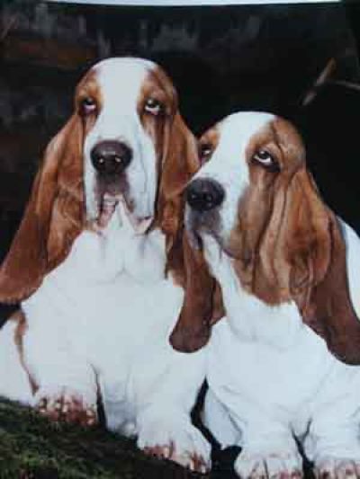 With litter brother Blue Jeans - Photo by Carol Ann Johnson