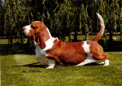 Photo by Alan V Walker