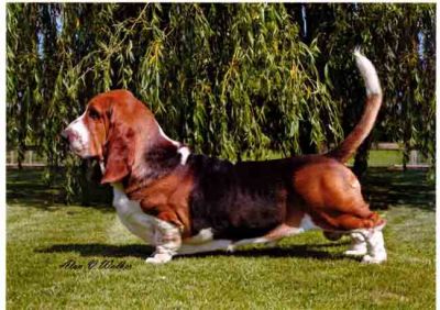 Photo by Alan V Walker