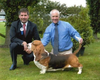 Group 2 Belfast - photo by Showdogs Ireland