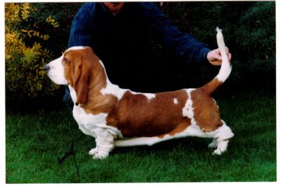 At 7 months - photo by Hartley