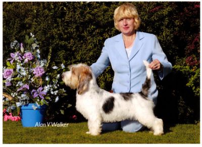 Photo by Alan V Walker