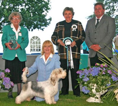 Best Veteran in Show Darlington 2006 - photo by Carol Ann Johnson