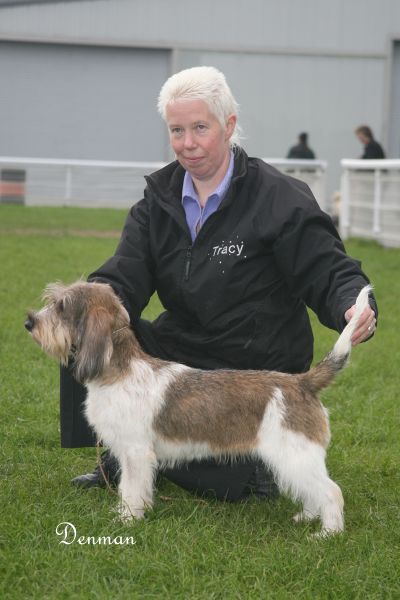 Hazel Winning CC & BOB at 8 months of age.