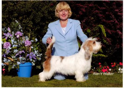 Photo by Alan V Walker