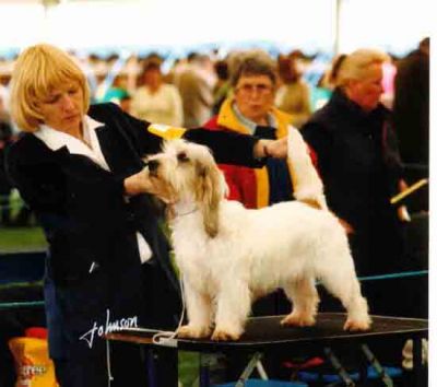 Photo by Carol Ann Johnson