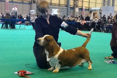 Crufts 2013 Res CC breed judge Vinnie Ness