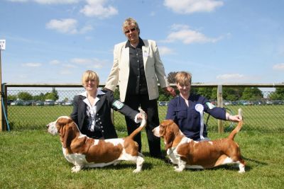 Champion Switherland Royal Image & litter sister Champion Red Image doing the double at Southern Counties 2013 under breed specialist Patience  Waldren.